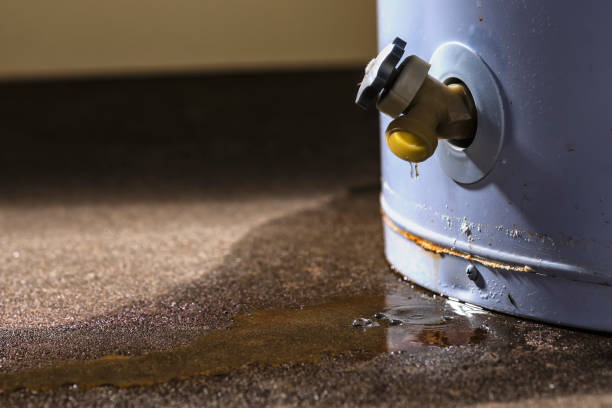 Best Sewage cleanup and water damage restoration  in Rockwell, NC