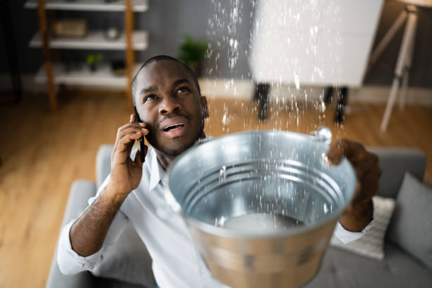 Best Water damage contractors near me  in Rockwell, NC
