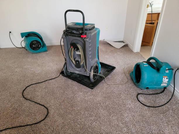 Best Ceiling water damage repair  in Rockwell, NC