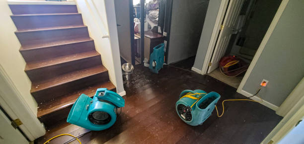 Best Residential water damage restoration  in Rockwell, NC