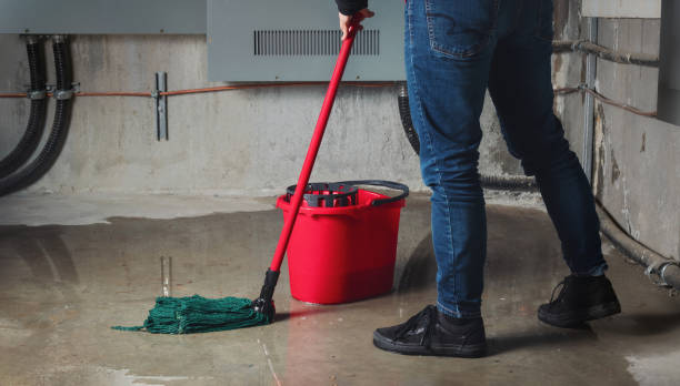 Best Flood damage cleanup  in Rockwell, NC