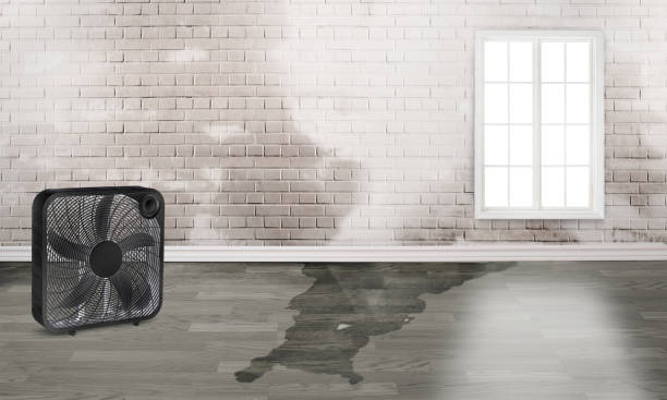 Best Water damage restoration near me  in Rockwell, NC