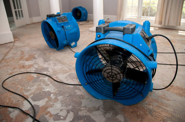 Best Professional water damage repair  in Rockwell, NC